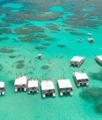 Explore as piscinas naturais de Pernambuco, Alagoas, Bahia, Rio Grande do Norte e Maranhão Explore as piscinas naturais de Pernambuco, Alagoas, Bahia, Rio Grande do Norte e Maranhão