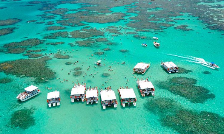 Explore as piscinas naturais de Pernambuco, Alagoas, Bahia, Rio Grande do Norte e Maranhão Explore as piscinas naturais de Pernambuco, Alagoas, Bahia, Rio Grande do Norte e Maranhão