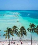 Maragogi: 7 passeios imperdíveis no litoral de Alagoas