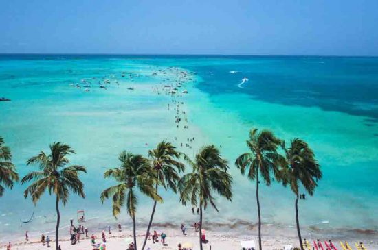 Maragogi: 7 passeios imperdíveis no litoral de Alagoas