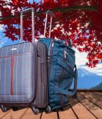 Mala de bordo: como escolher um bom modelo?