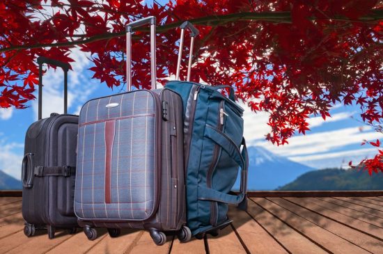 Mala de bordo: como escolher um bom modelo?