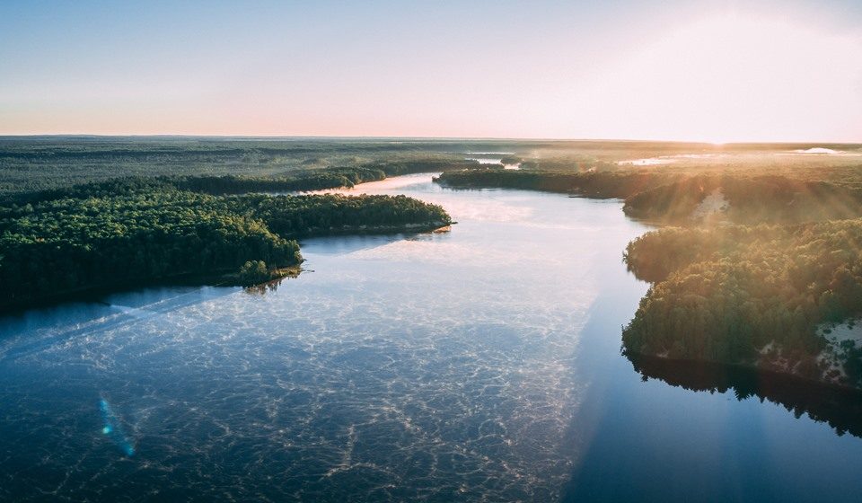 Ecoturismo: as maravilhas do Pantanal brasileiro