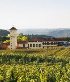 O que fazer em Bento Gonçalves? Confira dicas para esse destino! O que fazer em Bento Gonçalves? Confira dicas para esse destino!