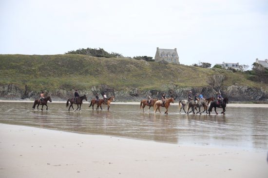 Cavalgada na Serra da Canastra: explorando a natureza em Minas Cavalgada na Serra da Canastra: explorando a natureza em Minas
