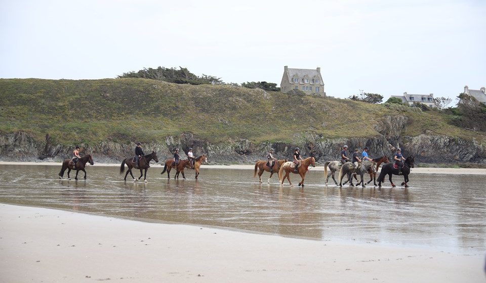 Cavalgada na Serra da Canastra: explorando a natureza em Minas Cavalgada na Serra da Canastra: explorando a natureza em Minas