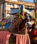 Tradição e cultura: viaje pela história com o Bumba Meu Boi