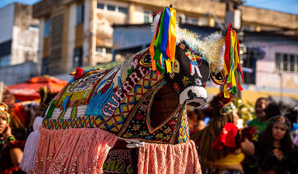 Tradição e cultura: viaje pela história com o Bumba Meu Boi