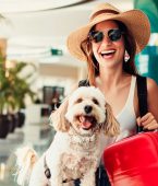 Guia completo com o que você precisa para viajar com seu pet