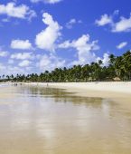 Porto de Galinhas – Ipojuca – PE