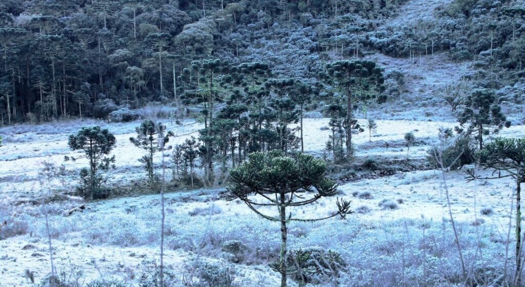 Começa o inverno no Brasil: conheça destinos onde você pode até ver neve