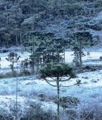 Começa o inverno no Brasil: conheça destinos onde você pode até ver neve