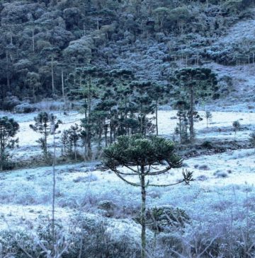 Começa o inverno no Brasil: conheça destinos onde você pode até ver neve Começa o inverno no Brasil: conheça destinos onde você pode até ver neve