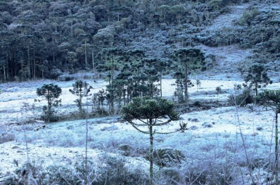 Começa o inverno no Brasil: conheça destinos onde você pode até ver neve