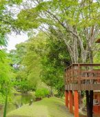 Hotel fazenda: o que é, como funciona e para quem essa experiência é ideal? Hotel fazenda: o que é, como funciona e para quem essa experiência é ideal?