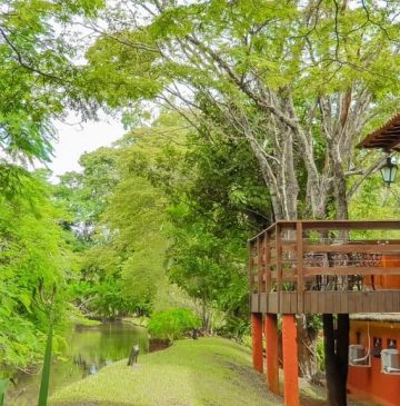 Hotel fazenda: o que é, como funciona e para quem essa experiência é ideal? Hotel fazenda: o que é, como funciona e para quem essa experiência é ideal?