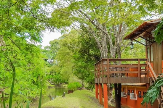 Hotel fazenda: o que é, como funciona e para quem essa experiência é ideal?