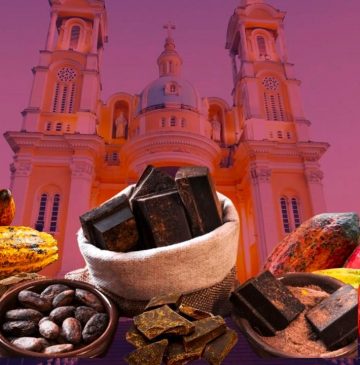 Dia Mundial do Chocolate: descubra Ilhéus, na Bahia, e viva a experiência do chocolate tree to bar
